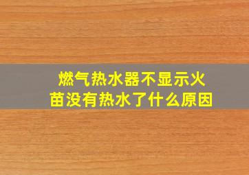 燃气热水器不显示火苗没有热水了什么原因