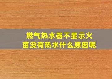 燃气热水器不显示火苗没有热水什么原因呢