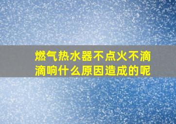 燃气热水器不点火不滴滴响什么原因造成的呢