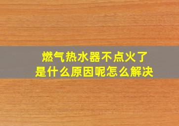 燃气热水器不点火了是什么原因呢怎么解决