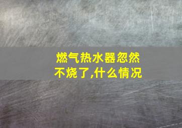 燃气热水器忽然不烧了,什么情况