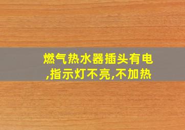 燃气热水器插头有电,指示灯不亮,不加热