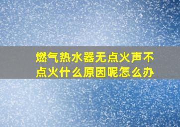 燃气热水器无点火声不点火什么原因呢怎么办