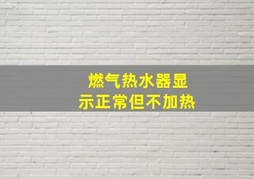 燃气热水器显示正常但不加热