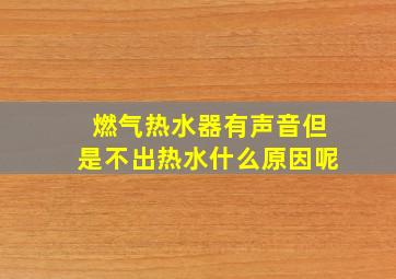 燃气热水器有声音但是不出热水什么原因呢