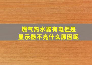 燃气热水器有电但是显示器不亮什么原因呢