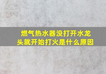 燃气热水器没打开水龙头就开始打火是什么原因