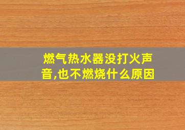 燃气热水器没打火声音,也不燃烧什么原因