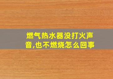 燃气热水器没打火声音,也不燃烧怎么回事