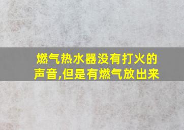 燃气热水器没有打火的声音,但是有燃气放出来