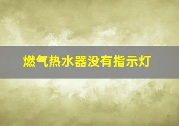 燃气热水器没有指示灯