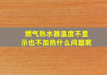 燃气热水器温度不显示也不加热什么问题呢