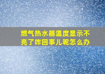 燃气热水器温度显示不亮了咋回事儿呢怎么办