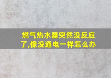 燃气热水器突然没反应了,像没通电一样怎么办