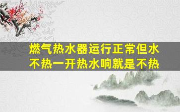 燃气热水器运行正常但水不热一开热水响就是不热