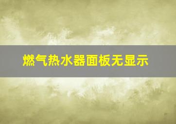 燃气热水器面板无显示