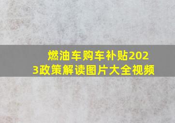 燃油车购车补贴2023政策解读图片大全视频