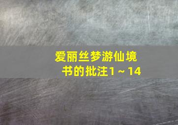 爱丽丝梦游仙境书的批注1～14