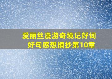 爱丽丝漫游奇境记好词好句感想摘抄第10章