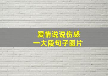 爱情说说伤感一大段句子图片