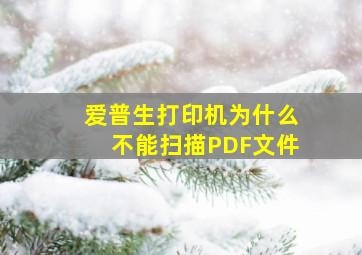 爱普生打印机为什么不能扫描PDF文件