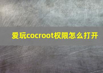 爱玩cocroot权限怎么打开