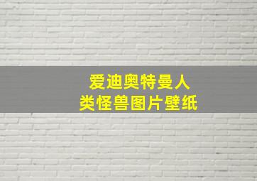 爱迪奥特曼人类怪兽图片壁纸