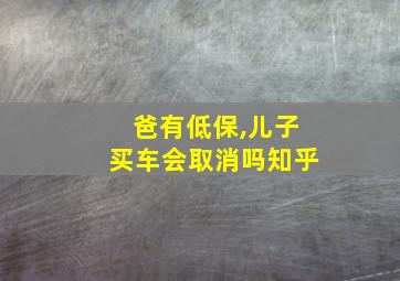 爸有低保,儿子买车会取消吗知乎