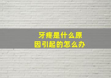 牙疼是什么原因引起的怎么办