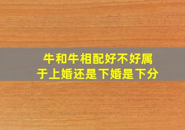 牛和牛相配好不好属于上婚还是下婚是下分