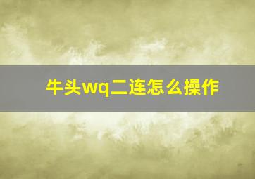 牛头wq二连怎么操作