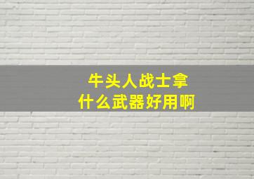 牛头人战士拿什么武器好用啊