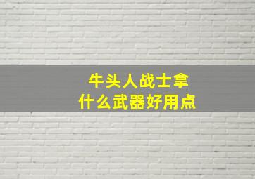 牛头人战士拿什么武器好用点