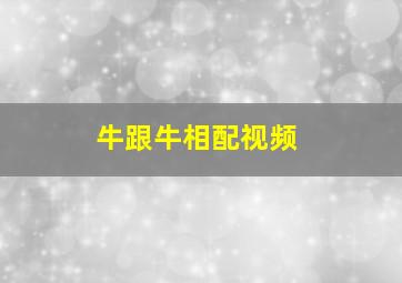 牛跟牛相配视频