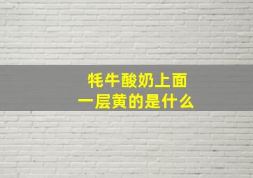 牦牛酸奶上面一层黄的是什么