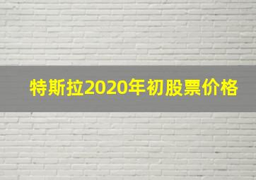 特斯拉2020年初股票价格