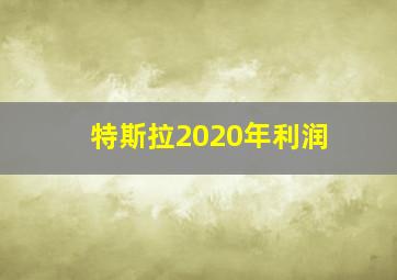 特斯拉2020年利润