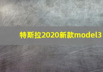 特斯拉2020新款model3