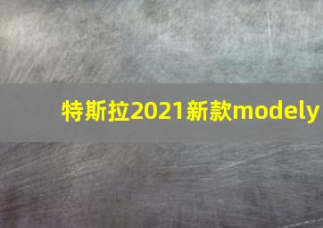 特斯拉2021新款modely