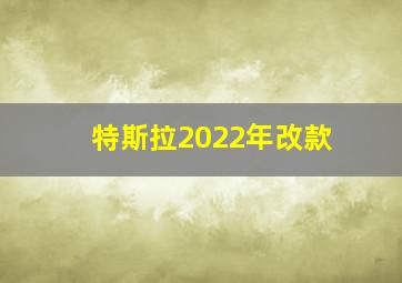 特斯拉2022年改款