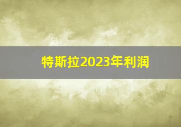 特斯拉2023年利润