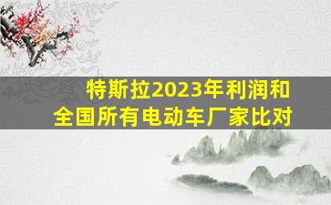 特斯拉2023年利润和全国所有电动车厂家比对