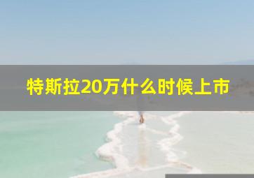 特斯拉20万什么时候上市