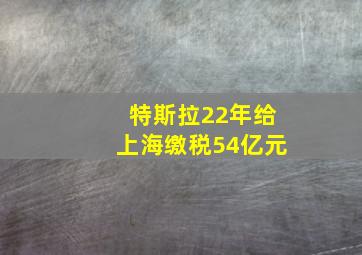 特斯拉22年给上海缴税54亿元