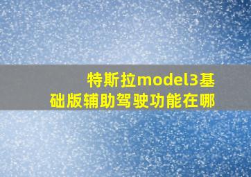 特斯拉model3基础版辅助驾驶功能在哪