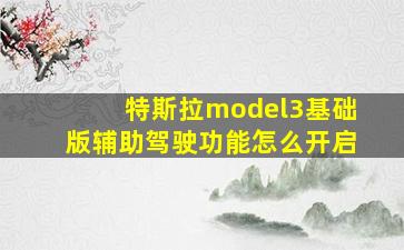 特斯拉model3基础版辅助驾驶功能怎么开启