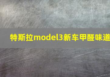 特斯拉model3新车甲醛味道