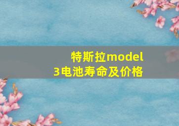 特斯拉model3电池寿命及价格