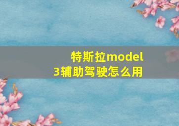 特斯拉model3辅助驾驶怎么用