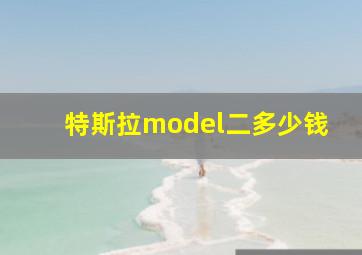 特斯拉model二多少钱